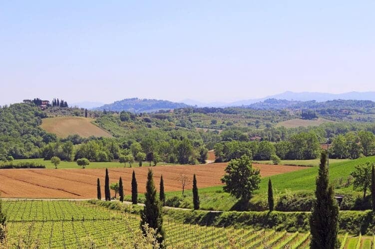 De mooiste wijnroutes van Italië