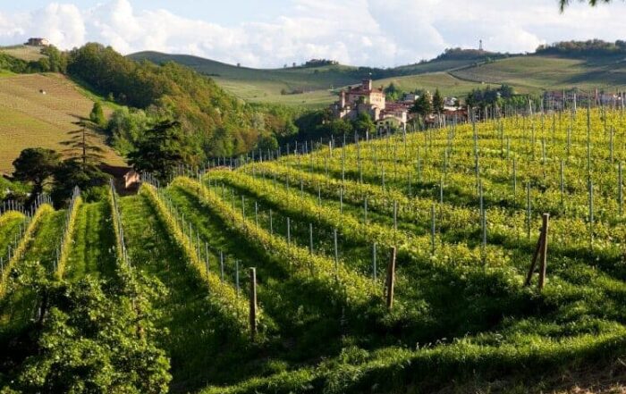 Barolo Piemonte Italië