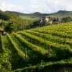 Barolo Piemonte Italië