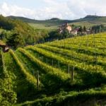 Barolo Piemonte Italië