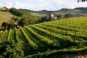 Barolo Piemonte Italië