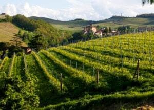 Barolo Piemonte Italië