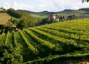 Barolo Piemonte Italië