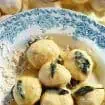 gnudi