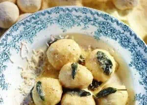 gnudi