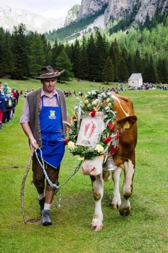 Dolomieten De Smaak van ItaliË