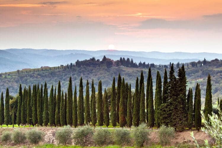 Volpaia. Chianti. Tuscany. Italy. De mooiste wijnroutes in Italië volgens Lonely Planet