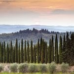 toscane chianti