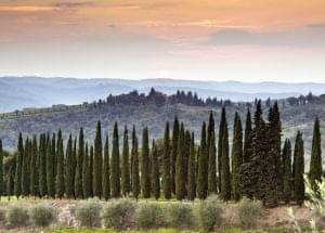 toscane chianti