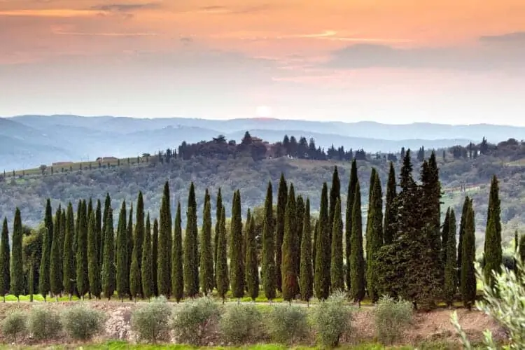 toscane chianti