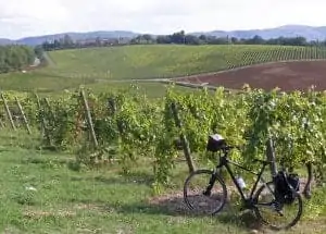 Chianti Toscane