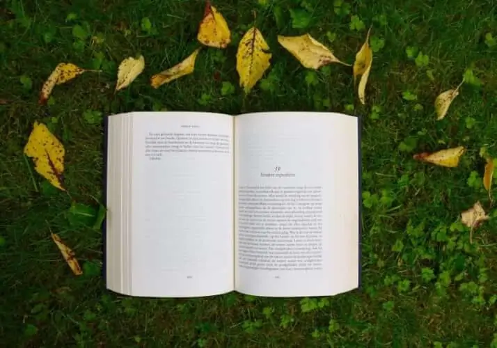 italiaanse boeken