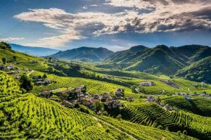 aldobbiadene prosecco unesco