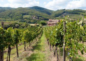 Chianti Toscane