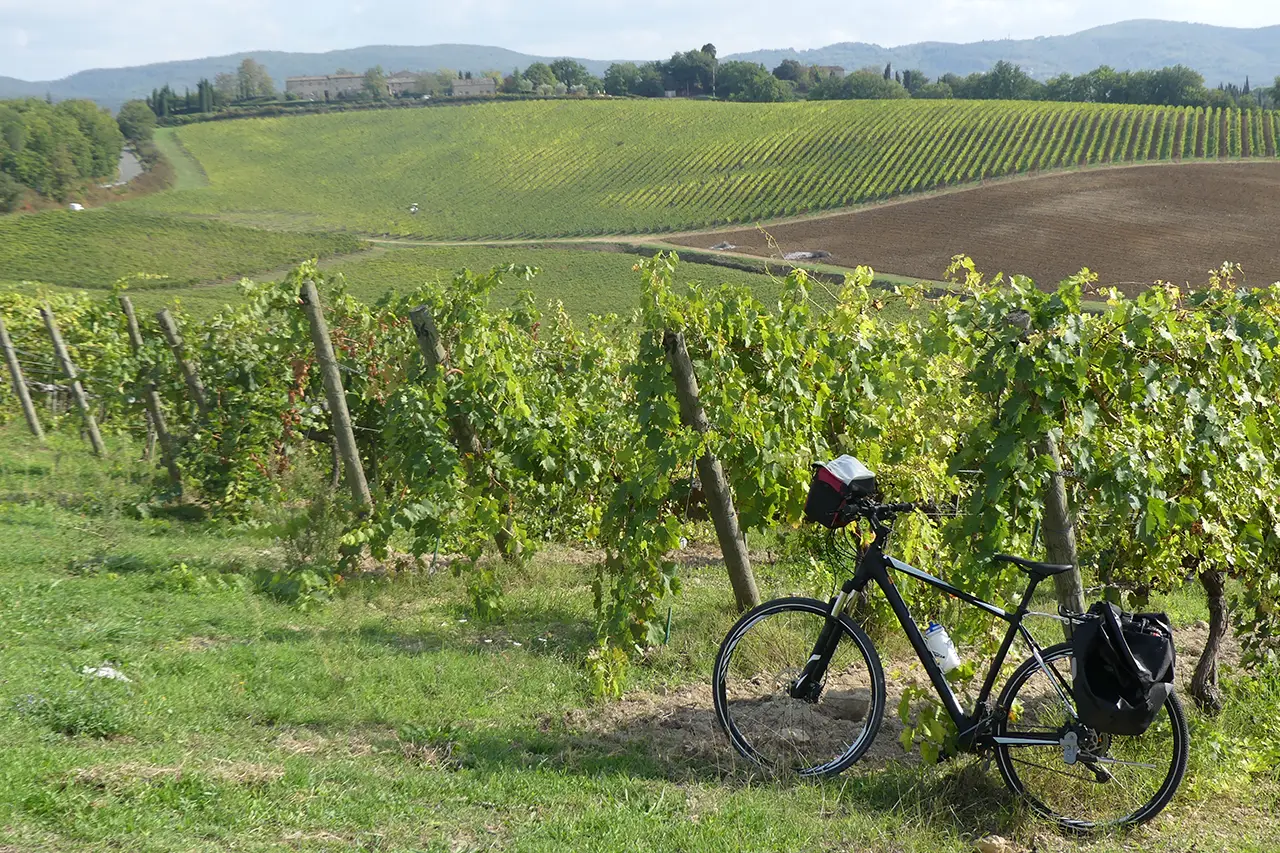 Fietsen door de wijngaarden van Toscane