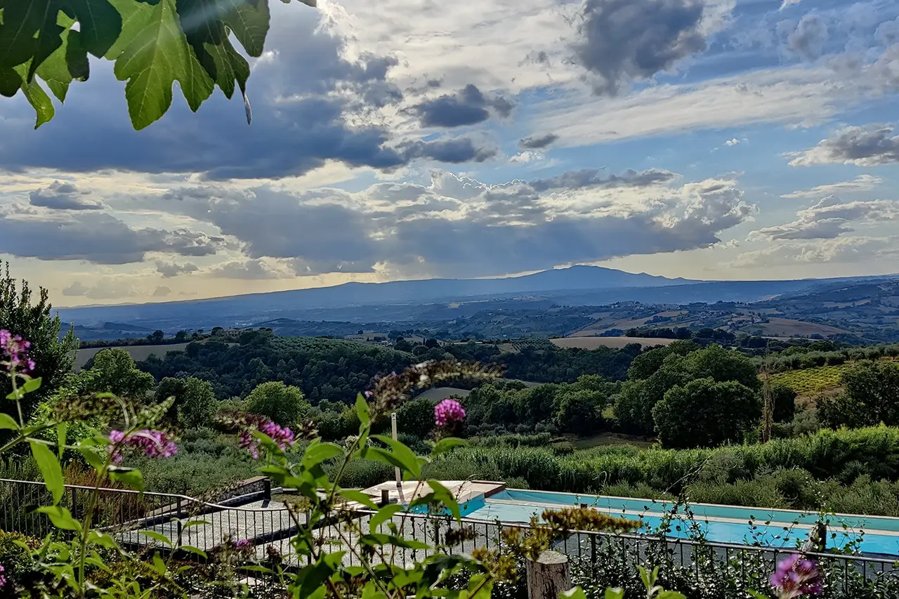 Countryhouse B&B Vista sull’oliveto