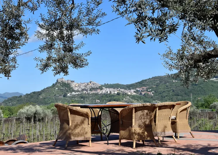 Tenuta Madonnina Tenuta terras