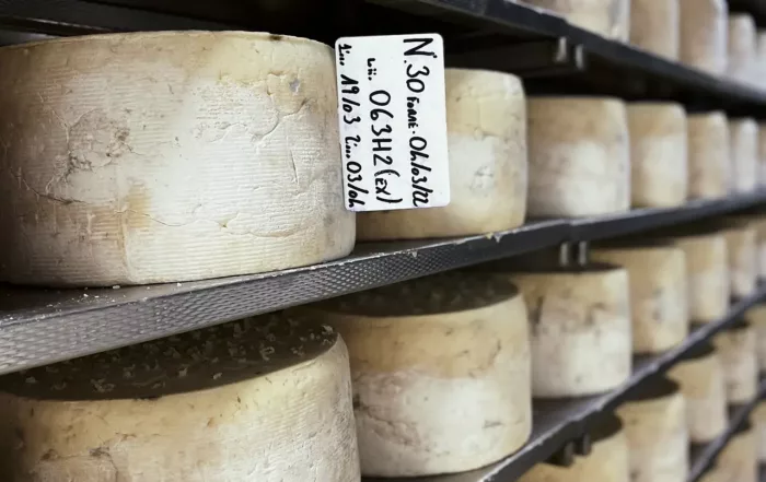 Gorgonzola-DOP