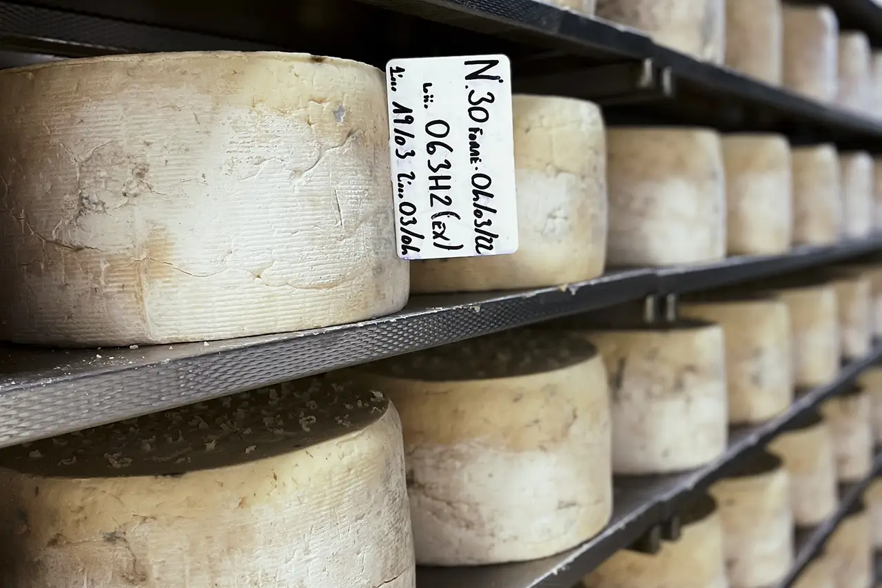 Gorgonzola-DOP Gorgonzola, alles over deze beroemde Italiaanse kaas