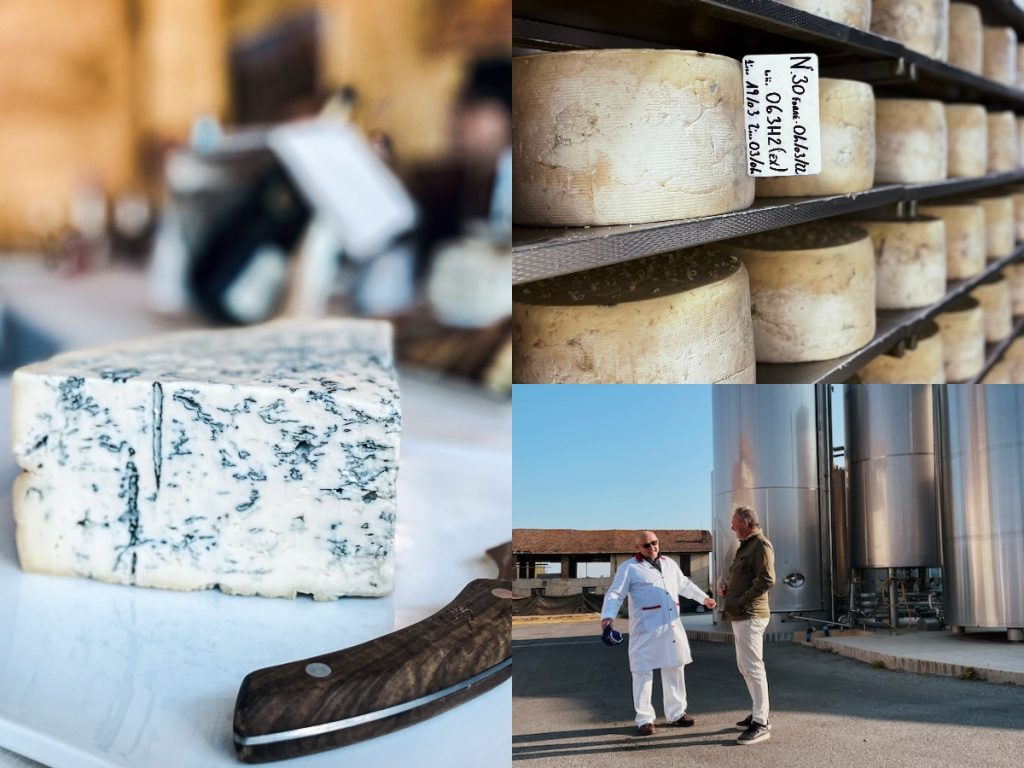 op zoek naar de smaak van italie gorgonzola cremona