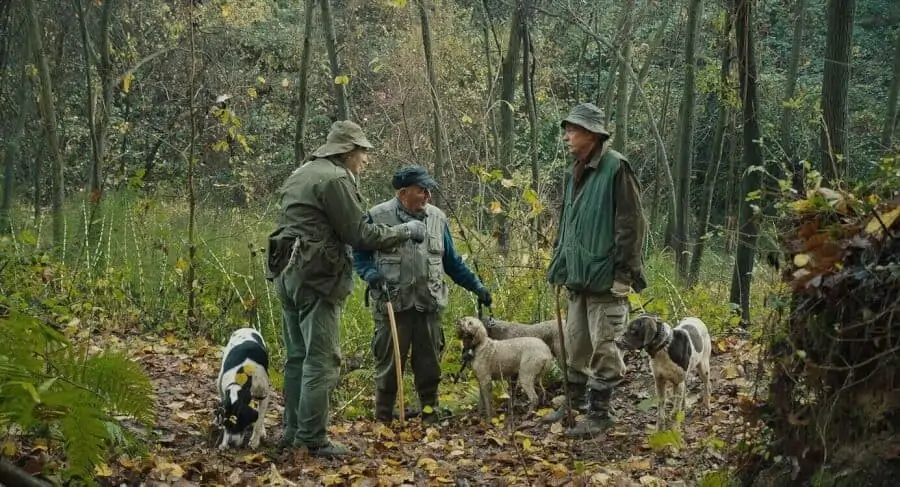 truffle hunter