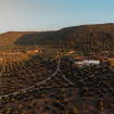 trein puglia reizen