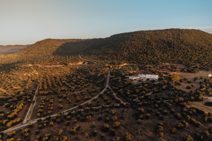 trein puglia reizen