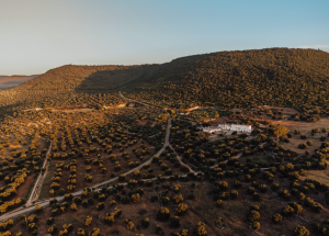 trein puglia reizen