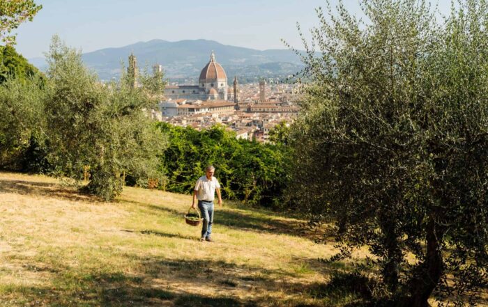 Wildplukken in Toscane_SofieDelauw