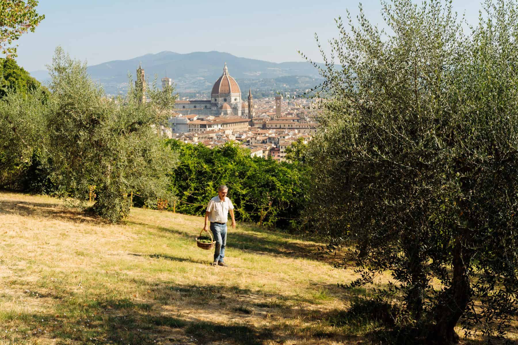 Wildplukken in Toscane