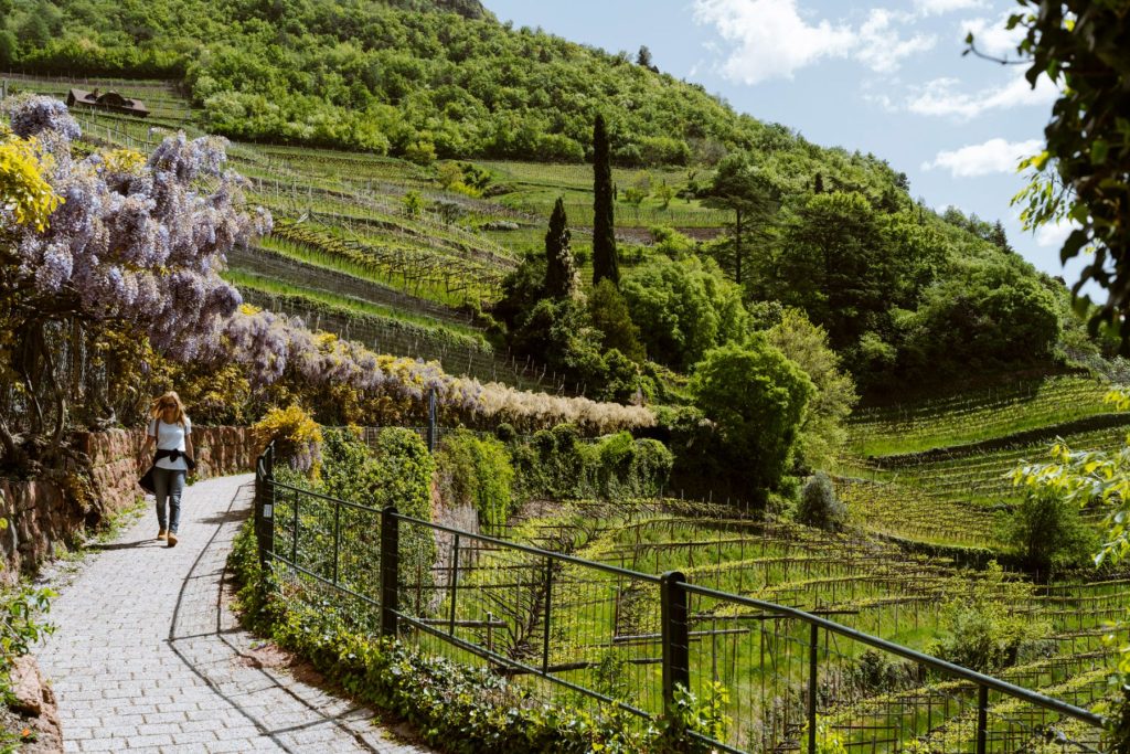 Weekendje Bolzano met wijn, wandelen en wellness