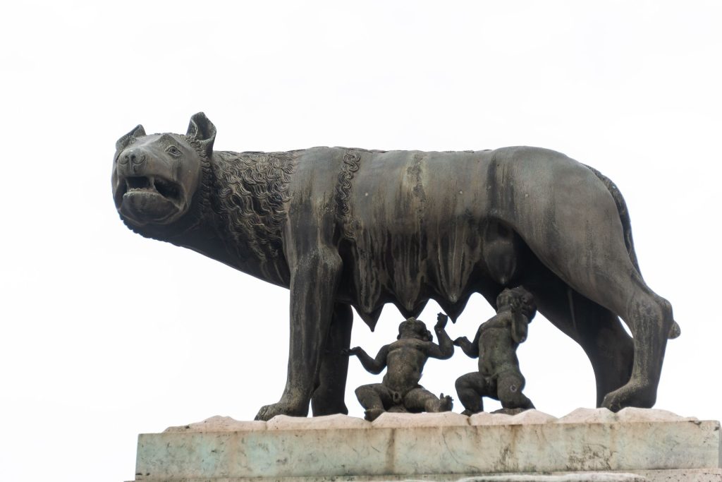 romulus remus