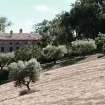 La Vecchia Scuola bedandbreakfast-overzicht-Italie