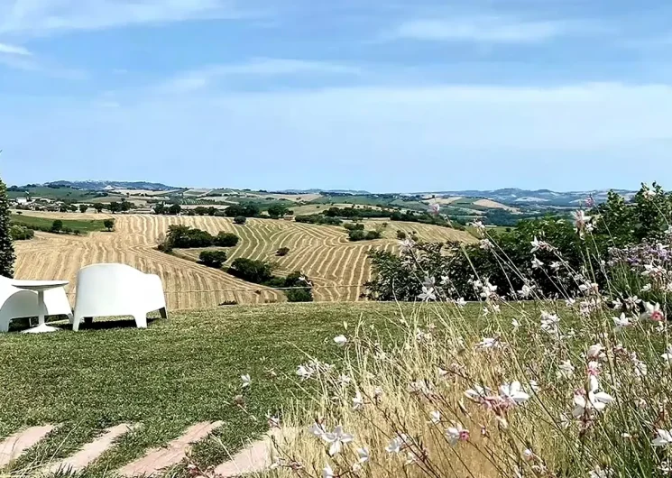 Uitzicht start frame video