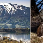 Wildlife op safari in Abruzzo