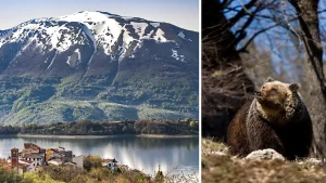 Wildlife op safari in Abruzzo