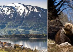 Wildlife op safari in Abruzzo