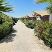 Villa Alwin straatje strand