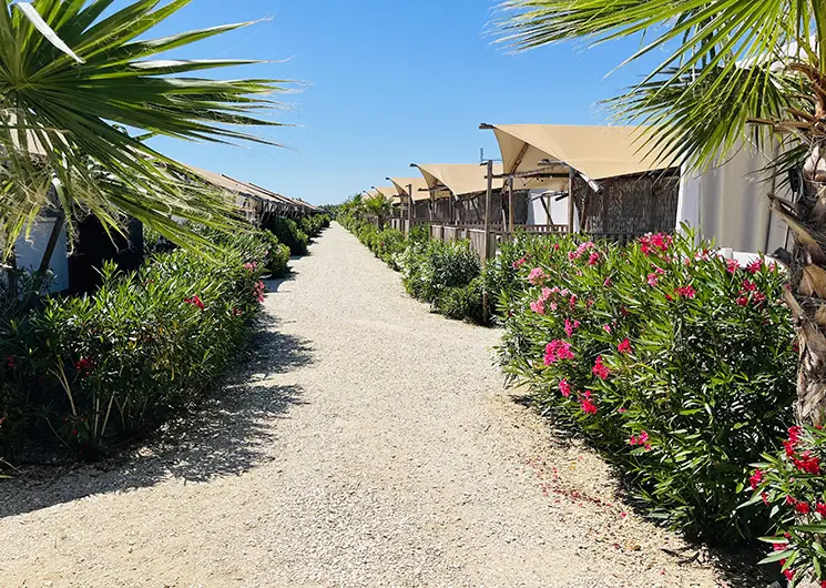 Villa Alwin straatje strand