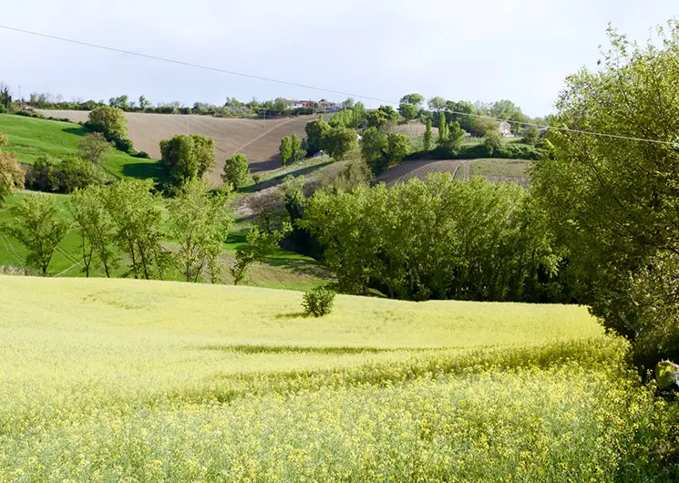 Koophuis Le Marche buiten