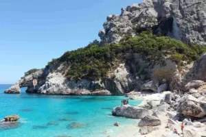 Hoofdfoto-sardinie