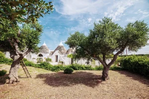 Trulli bezoeken