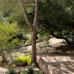 Vakantie villa Sardinie Arcata tuin en omgeving