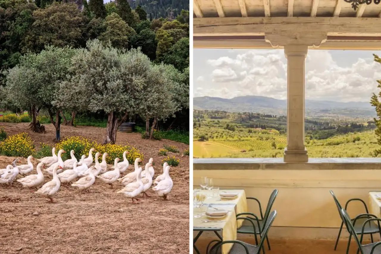 Peuter proof: Fattoria di Maiano, Toscane