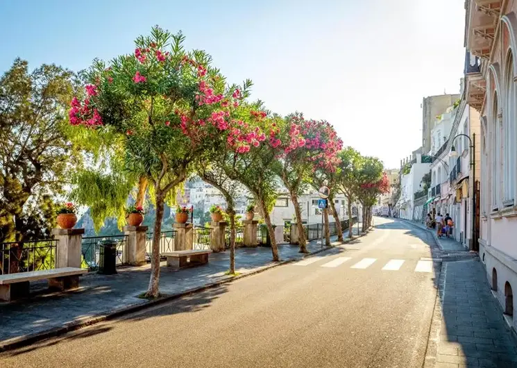 Hotel la Palma Capri aanzicht voorkant