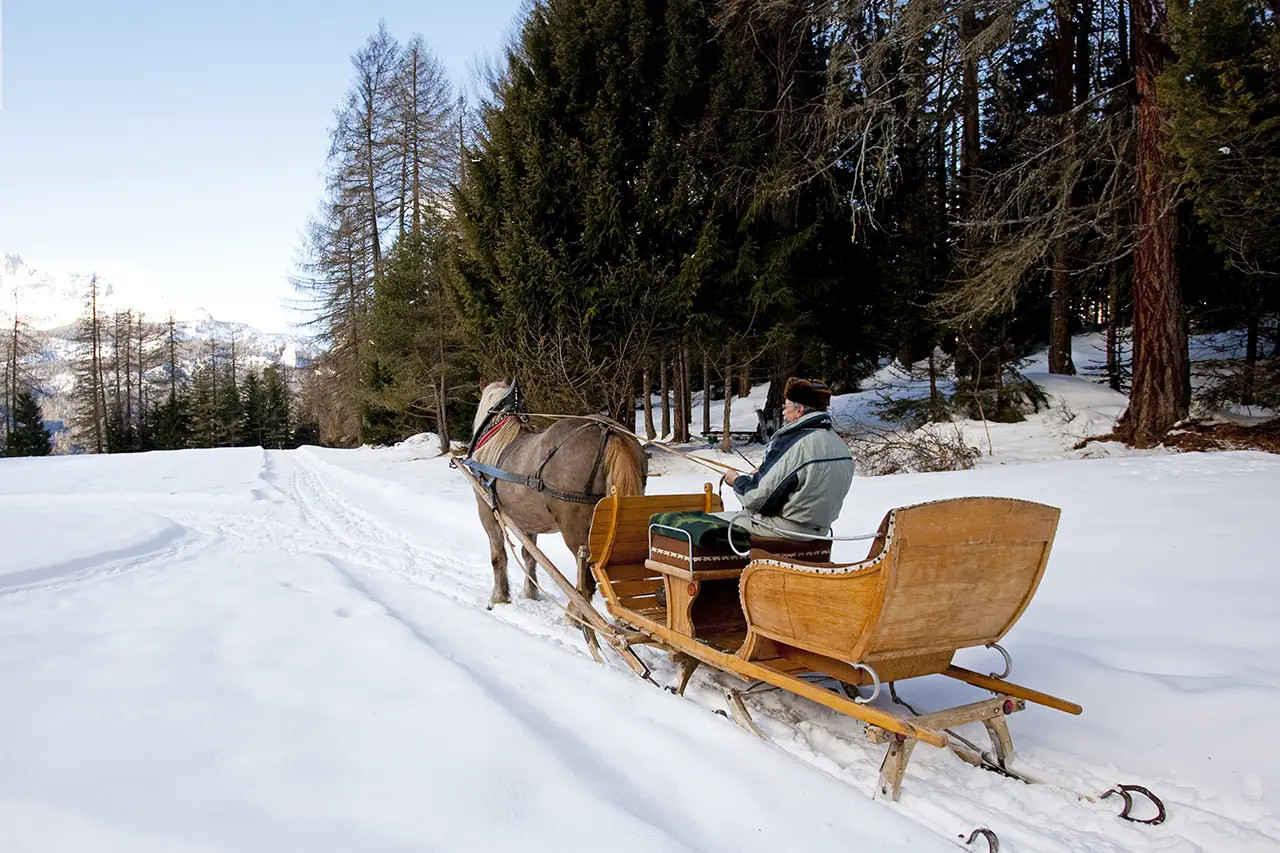 Ritje paardenkoets door de sneeuw