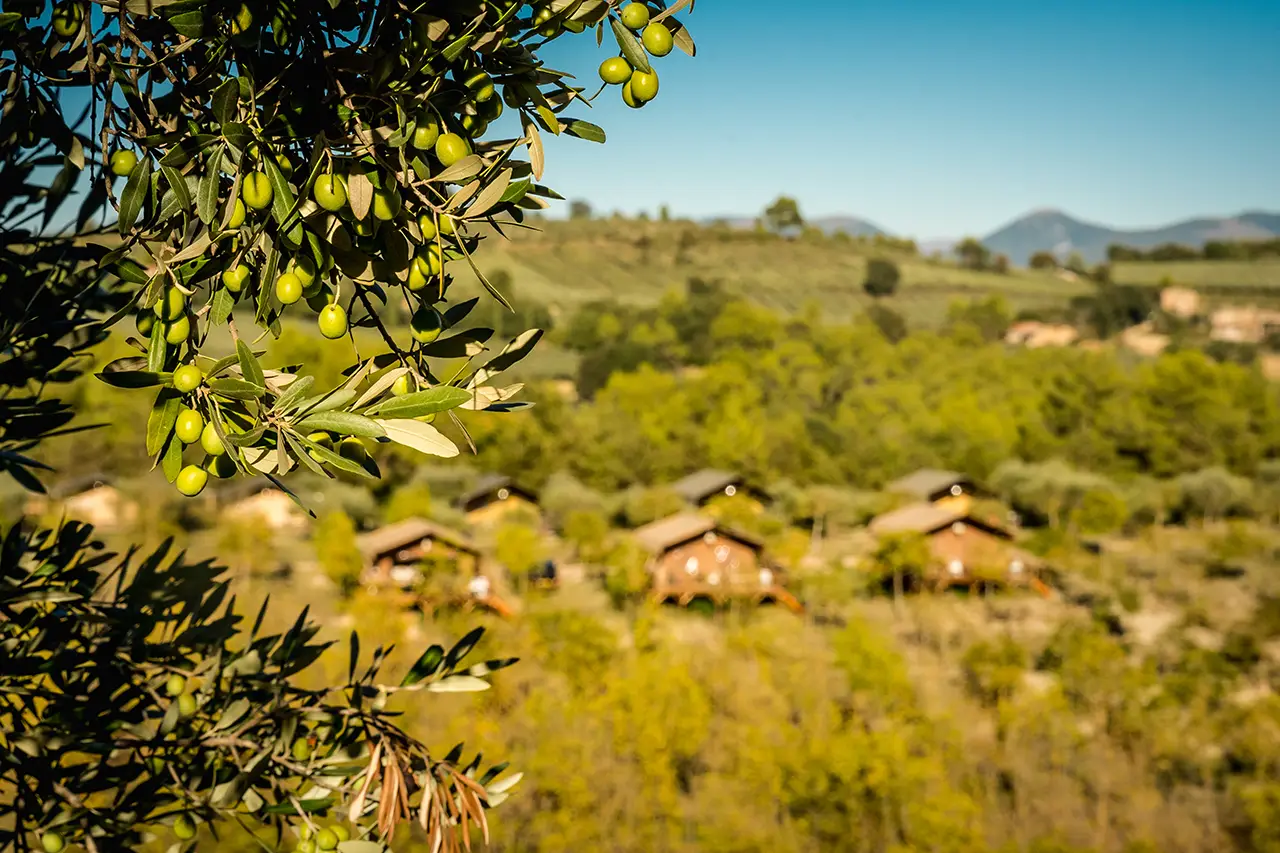 Check deze glamping in Umbrië