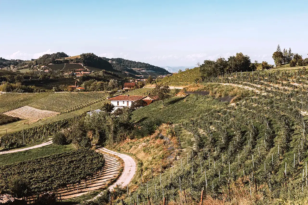 Piemonte Langhe