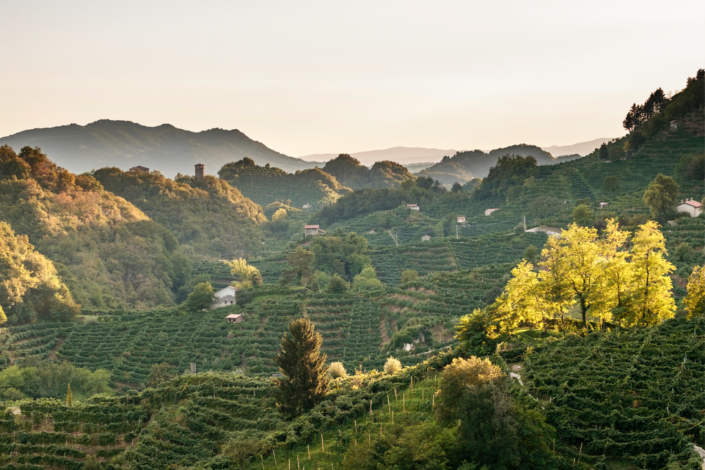 11-daagse train & drive Veneto en prosecco hills