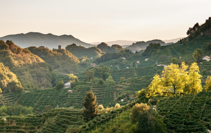proseccohills